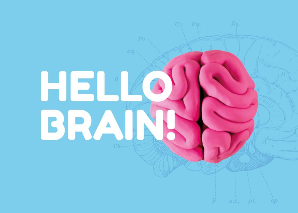 HELLO BRAIN! exhibition explores how the brain works
