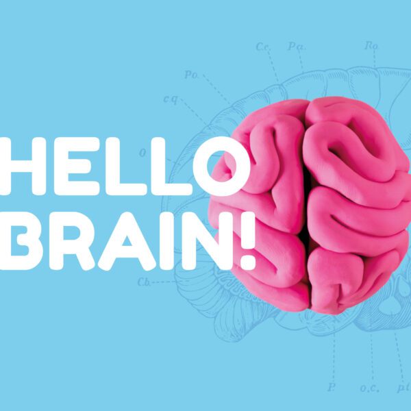 HELLO BRAIN! exhibition explores how the brain works