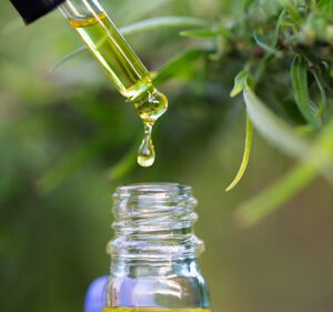 Cannabis oil